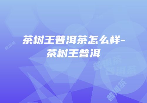 茶树王普洱茶怎么样-茶树王普洱