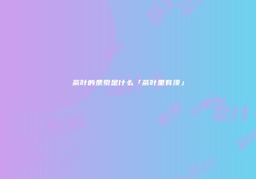 茶叶的条索是什么「茶叶里有须」