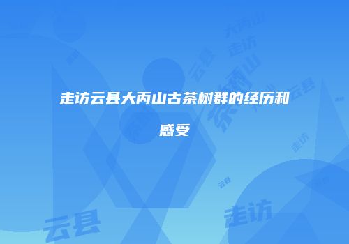 走访云县大丙山古茶树群的经历和感受