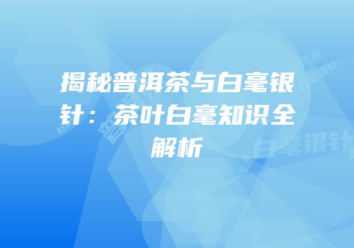 揭秘普洱茶与白毫银针：茶叶白毫知识全解析