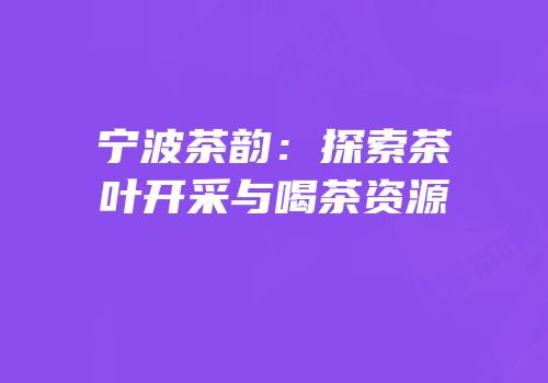 宁波茶韵：探索茶叶开采与喝茶资源
