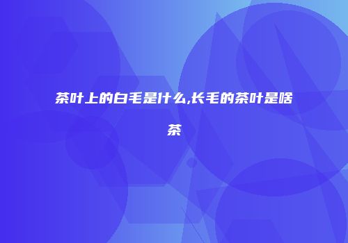 茶叶上的白毛是什么,长毛的茶叶是啥茶