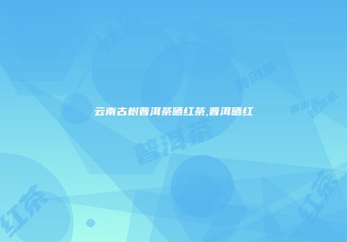 云南古树普洱茶晒红茶,普洱晒红