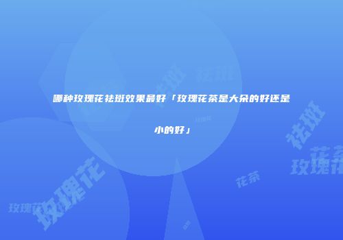 哪种玫瑰花祛斑效果最好「玫瑰花茶是大朵的好还是小的好」