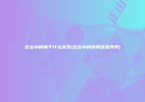 正山小种属于什么茶系(正山小种伤胃还是养胃)