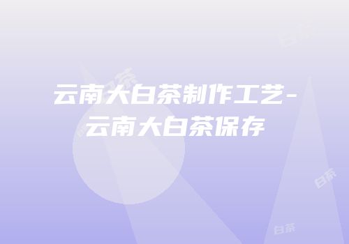 云南大白茶制作工艺-云南大白茶保存
