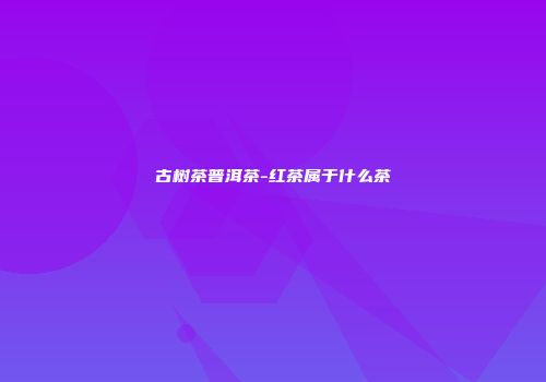 古树茶普洱茶-红茶属于什么茶