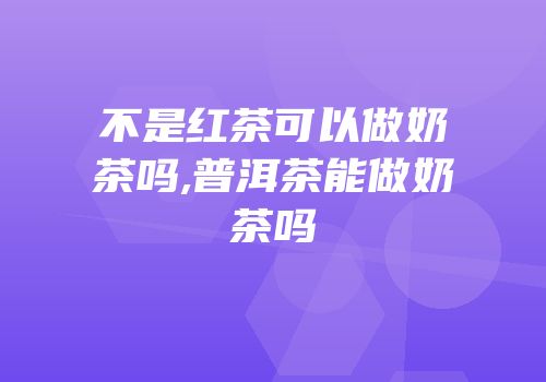 不是红茶可以做奶茶吗,普洱茶能做奶茶吗