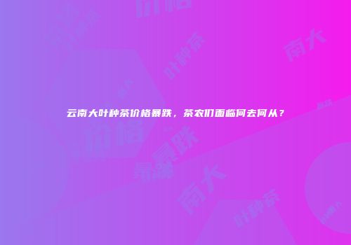 云南大叶种茶价格暴跌，茶农们面临何去何从？