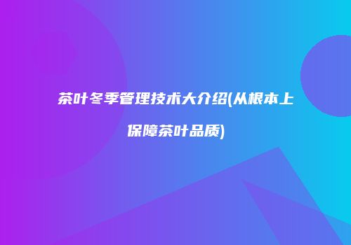 茶叶冬季管理技术大介绍(从根本上保障茶叶品质)