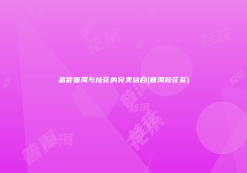 品尝普洱与桂花的完美结合(普洱桂花茶)