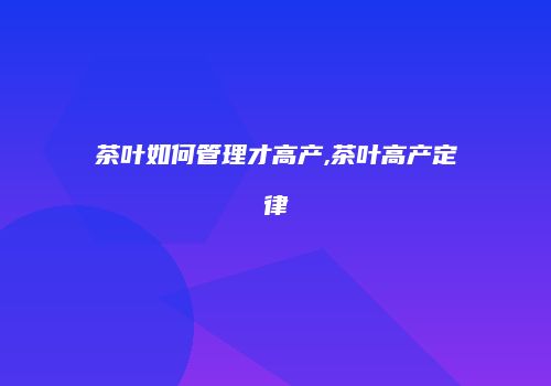 茶叶如何管理才高产,茶叶高产定律