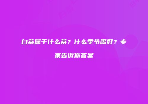 白茶属于什么茶？什么季节喝好？专家告诉你答案