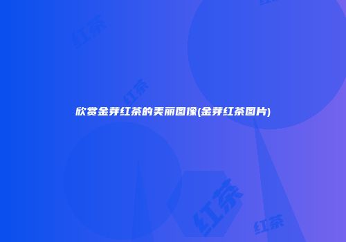 欣赏金芽红茶的美丽图像(金芽红茶图片)