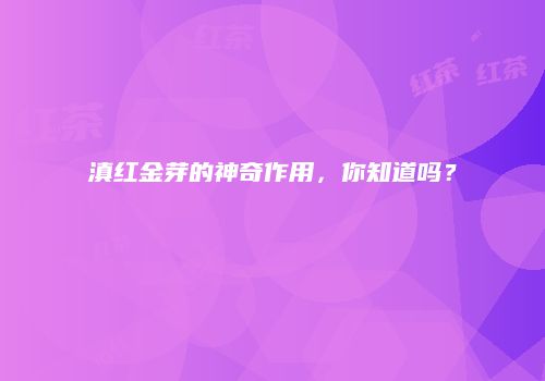 滇红金芽的神奇作用，你知道吗？