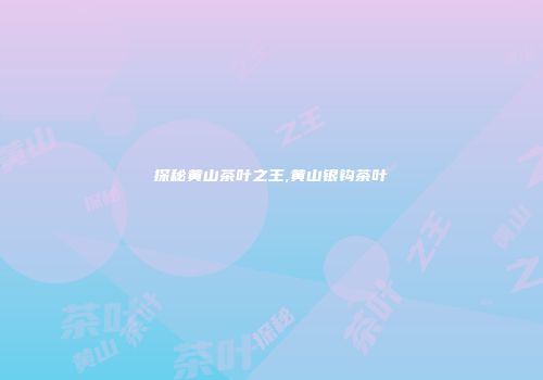 探秘黄山茶叶之王,黄山银钩茶叶