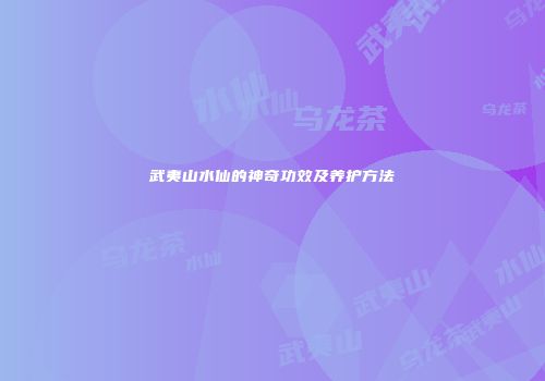 武夷山水仙的神奇功效及养护方法