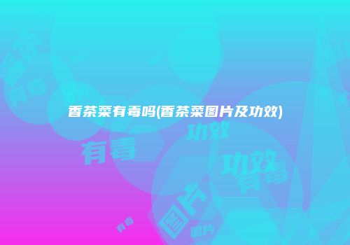 香茶菜有毒吗(香茶菜图片及功效)