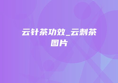 云针茶功效_云刺茶图片