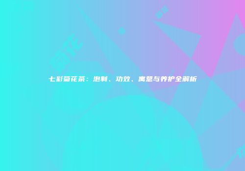 七彩菊花茶：泡制、功效、寓意与养护全解析