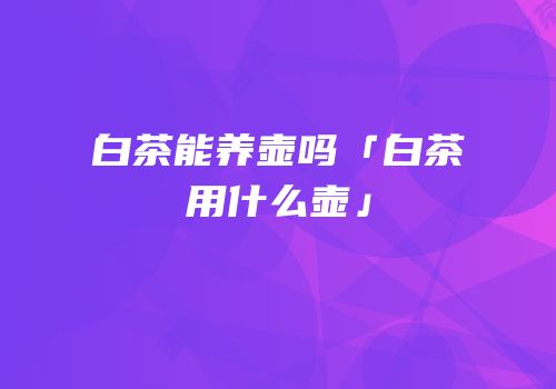 白茶能养壶吗「白茶用什么壶」