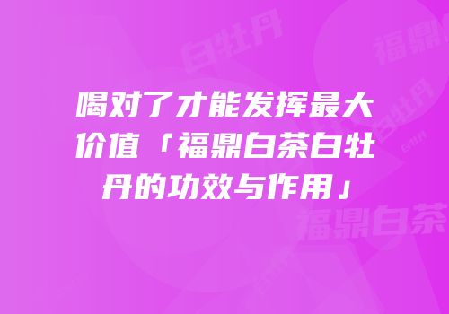 喝对了才能发挥最大价值「福鼎白茶白牡丹的功效与作用」