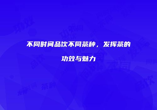 不同时间品饮不同茶种，发挥茶的功效与魅力