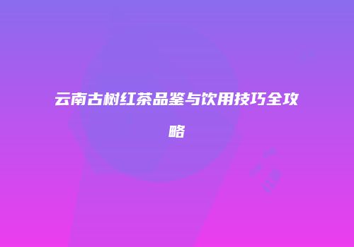 云南古树红茶品鉴与饮用技巧全攻略