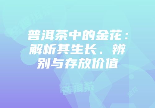 普洱茶中的金花：解析其生长、辨别与存放价值