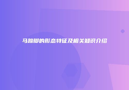 马蹄脚的形态特征及相关知识介绍