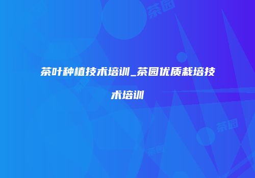 茶叶种植技术培训_茶园优质栽培技术培训