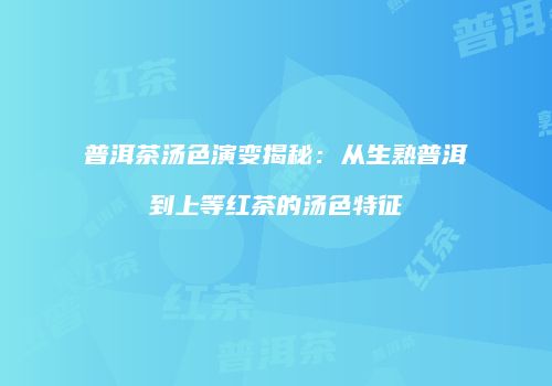 普洱茶汤色演变揭秘：从生熟普洱到上等红茶的汤色特征