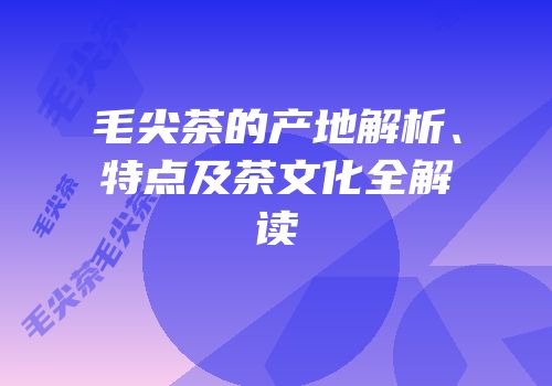 毛尖茶的产地解析、特点及茶文化全解读