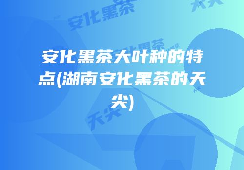 安化黑茶大叶种的特点(湖南安化黑茶的天尖)