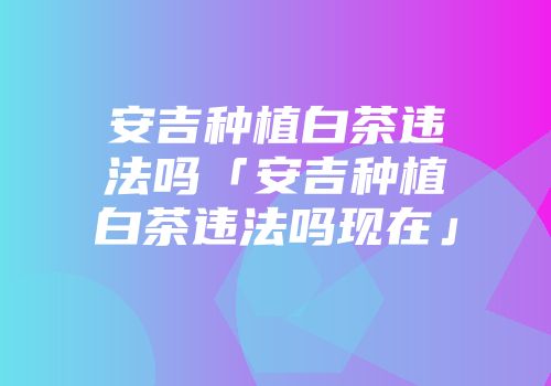安吉种植白茶违法吗「安吉种植白茶违法吗现在」
