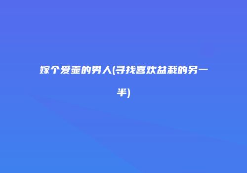 嫁个爱壶的男人(寻找喜欢盆栽的另一半)
