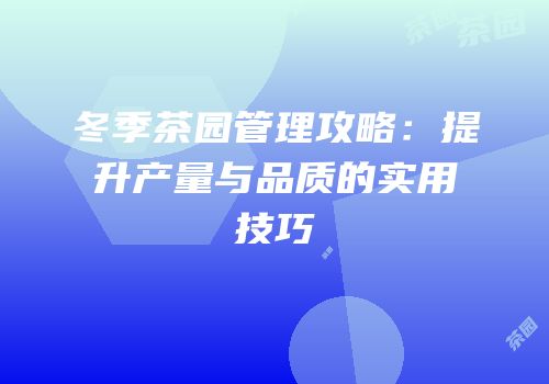 冬季茶园管理攻略：提升产量与品质的实用技巧