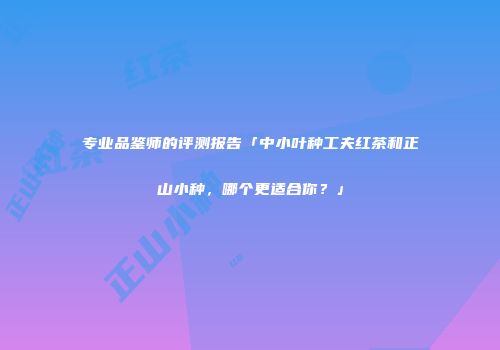 专业品鉴师的评测报告「中小叶种工夫红茶和正山小种，哪个更适合你？」