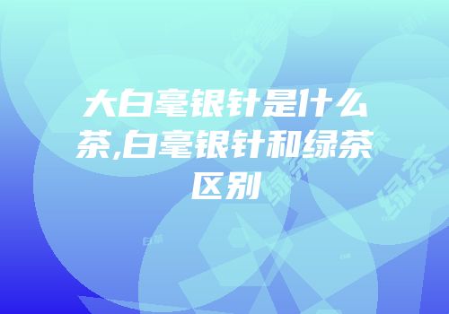 大白毫银针是什么茶,白毫银针和绿茶区别