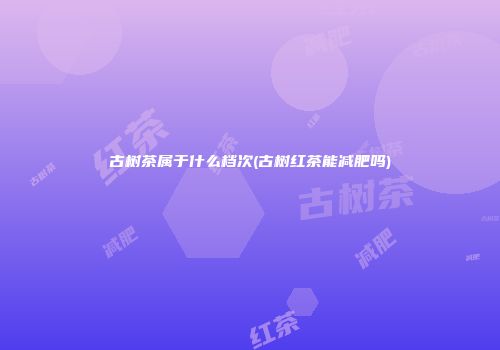 古树茶属于什么档次(古树红茶能减肥吗)