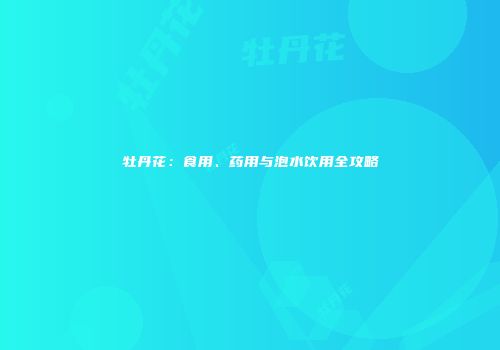 牡丹花：食用、药用与泡水饮用全攻略