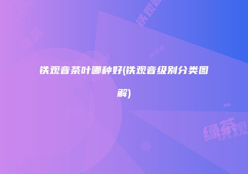 铁观音茶叶哪种好(铁观音级别分类图解)