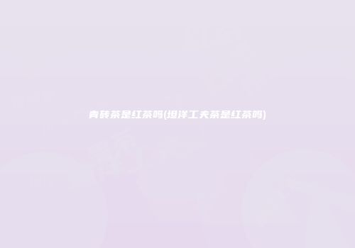 青砖茶是红茶吗(坦洋工夫茶是红茶吗)