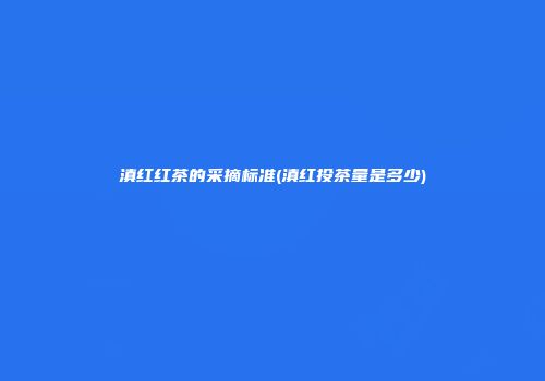 滇红红茶的采摘标准(滇红投茶量是多少)