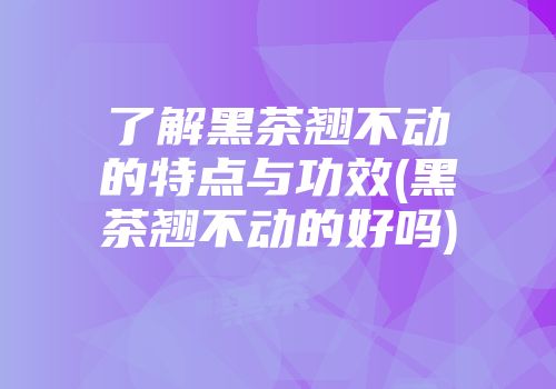 了解黑茶翘不动的特点与功效(黑茶翘不动的好吗)