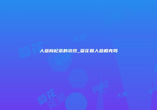 人参枸杞茶的功效_菊花和人参相克吗