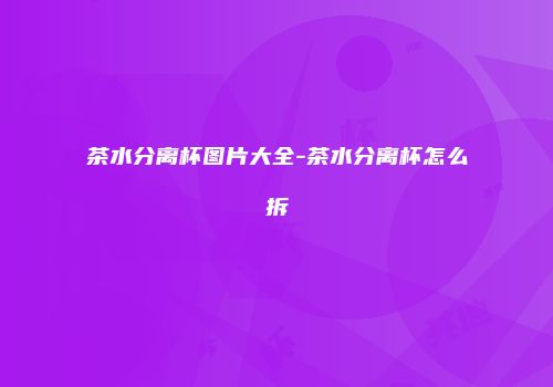 茶水分离杯图片大全-茶水分离杯怎么拆