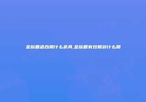 金骏眉适合用什么茶具,金骏眉有效期游什么用