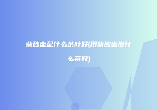 紫砂壶配什么茶叶好(用紫砂壶泡什么茶好)