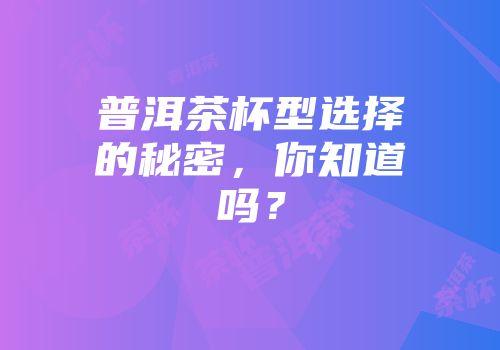 普洱茶杯型选择的秘密，你知道吗？